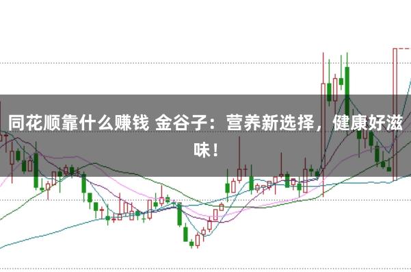 同花顺靠什么赚钱 金谷子:营养新选择,健康好滋味!