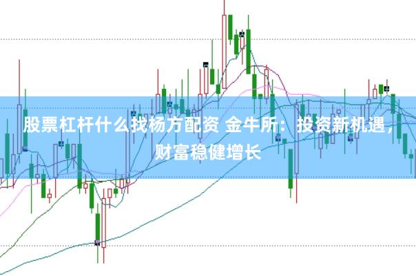 股票杠杆什么找杨方配资 金牛所：投资新机遇，财富稳健增长