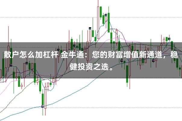 散户怎么加杠杆 金牛通：您的财富增值新通道，稳健投资之选。