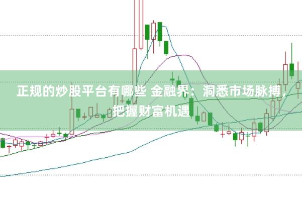 正规的炒股平台有哪些 金融界：洞悉市场脉搏，把握财富机遇