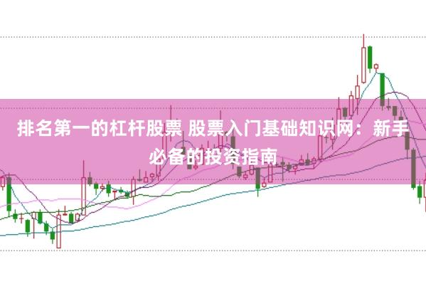 排名第一的杠杆股票 股票入门基础知识网：新手必备的投资指南