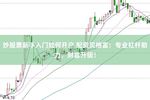 炒股票新手入门如何开户 配资贝格富：专业杠杆助力，财富升级！