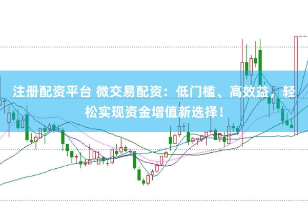 注册配资平台 微交易配资：低门槛、高效益，轻松实现资金增值新选择！